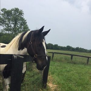 Meet your Posher, Joann